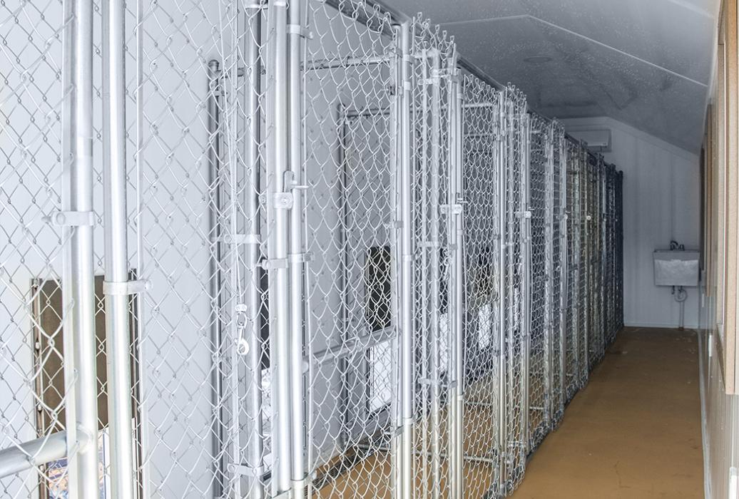 12' x 32' Kennel Lancaster Barns